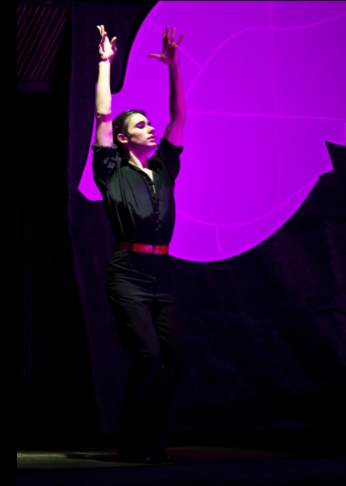 Stefan Nikolov cveten flamenco